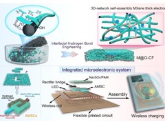 【学术论文】曹志钱博士团队在《Advanced Functional Materials》发表高水平研究成果
