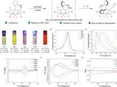 【学术论文】杨友清教授团队在国际顶级学术期刊《Angewandte Chemie International Edition》发表高水平研究成果