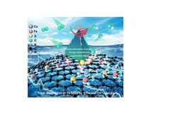 【学术论文】代凯教授及团队骨干邵春风副教授在顶刊《Advanced Functional Materials》发表研究成果