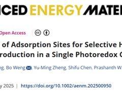 【学术论文】孟苏刚教授及合作者指导研究生在Advanced Energy Materials发表高水平研究成果