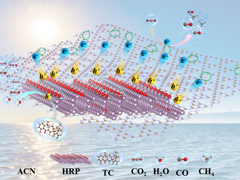 【学术论文】曹静教授、贾雪梅副教授指导研究生在Journal of Colloid and Interface Science上发表论文