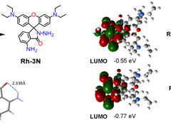 【科研突破】学院本科生王雅琴以第一作者在SCI二区期刊发表高水平研究论文