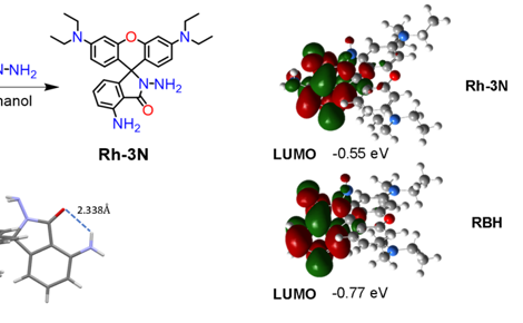 【科研突破】学院本科生王雅琴以第一作者在SCI二区期刊发表高水平研究论文