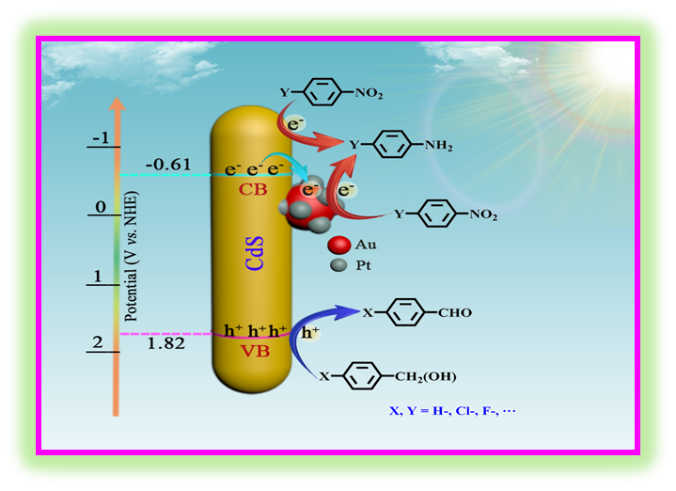 b0219a2fa35a472088675684371d0e1f.png b0219a2fa35a472088675684371d0e1f.png