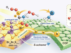 【学术论文】代凯教授团队在《ACS Catalysis》发表研究成果